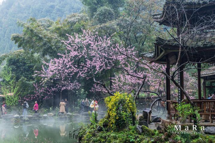 拳皇命运手游